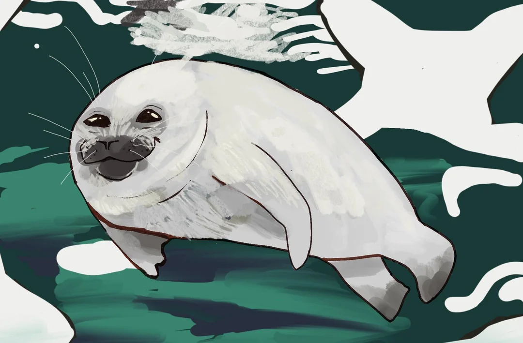 Smug baby harp seal under da water